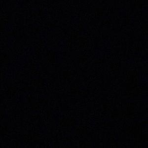 Meet your Posher, Maggie